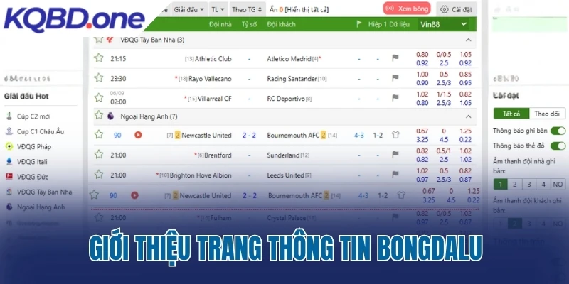 Giới thiệu trang thông tin Bongdalu.africa